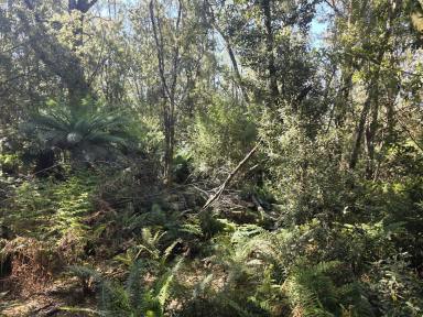 Residential Block For Sale - TAS - Temma - 7330 - Balfour Beauty!  (Image 2)