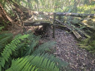 Residential Block For Sale - TAS - Temma - 7330 - Balfour Beauty!  (Image 2)