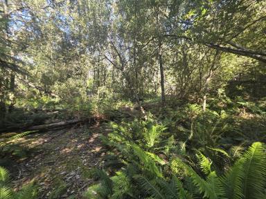 Residential Block For Sale - TAS - Temma - 7330 - Balfour Beauty!  (Image 2)