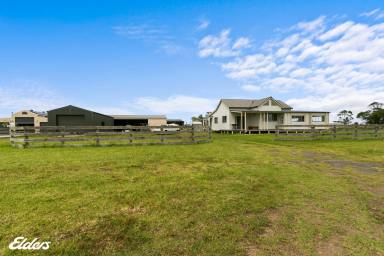 House For Sale - VIC - Tarraville - 3971 - YOUR GOLDEN OPPORTUNITY  (Image 2)