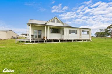 House For Sale - VIC - Tarraville - 3971 - YOUR GOLDEN OPPORTUNITY  (Image 2)