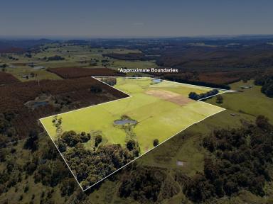 Mixed Farming For Sale - TAS - South Preston - 7315 - A Private Slice of South Preston Countryside (Image 2)