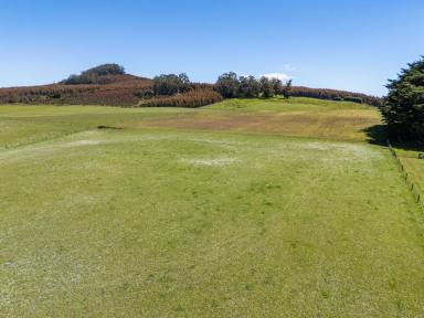 Mixed Farming For Sale - TAS - South Preston - 7315 - A Private Slice of South Preston Countryside (Image 2)