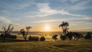Other (Rural) Auction - NSW - Golspie - 2580 - 'Mianga' – Golspie, Southern Tablelands, NSW  (Image 2)