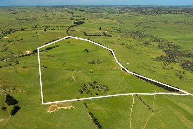 Other (Rural) For Sale - NSW - Golspie - 2580 - 'Mianga' – Golspie, Southern Tablelands, NSW (Image 2)