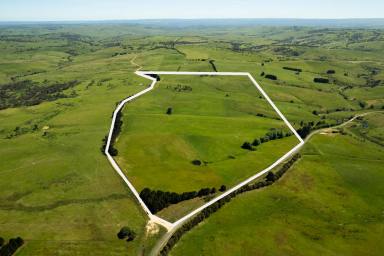 Other (Rural) Auction - NSW - Golspie - 2580 - 'Mianga' – Golspie, Southern Tablelands, NSW  (Image 2)