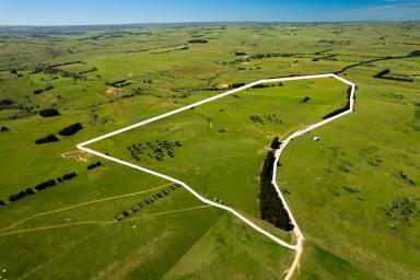 Other (Rural) Auction - NSW - Golspie - 2580 - 'Mianga' – Golspie, Southern Tablelands, NSW (Image 2)