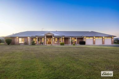 Acreage/Semi-rural For Sale - NSW - Wingham - 2429 - THE PERFECT BLEND OF LUXURY, LIFESTYLE AND LOCATION (Image 2)