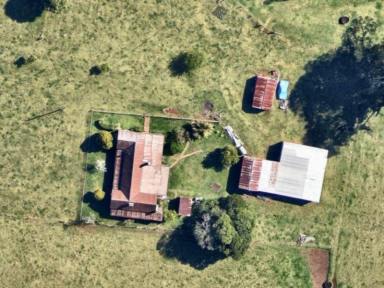 Livestock For Sale - NSW - North Dorrigo - 2453 - Bielsdown Downs, 100-acre, water-secure farm with dual-living homestead & tourism upside  (Image 2)