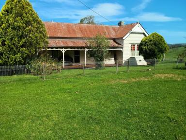 Livestock For Sale - NSW - North Dorrigo - 2453 - Bielsdown Downs, 100-acre, water-secure farm with dual-living homestead & tourism upside  (Image 2)