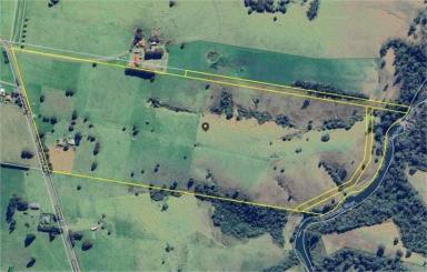 Livestock For Sale - NSW - North Dorrigo - 2453 - Bielsdown Downs, 100-acre, water-secure farm with dual-living homestead & tourism upside  (Image 2)