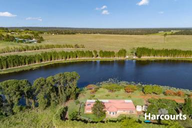House For Sale - QLD - South Isis - 4660 - 210 ACRES AND ABUNDANT WATER IN THE ISIS (Image 2)
