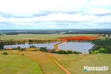 House For Sale - QLD - South Isis - 4660 - 210 ACRES AND ABUNDANT WATER IN THE ISIS (Image 2)