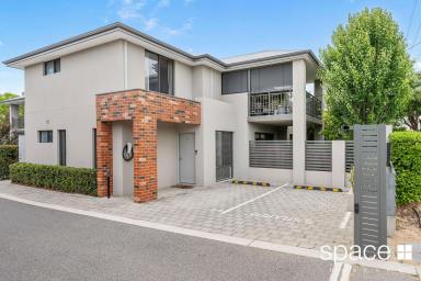 House For Lease - WA - Spearwood - 6163 - Finding Comfort in Spearwood  (Image 2)