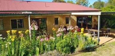 House For Sale - VIC - Elphinstone - 3448 - Unique biodynamic sanctuary for the health-couscious  (Image 2)