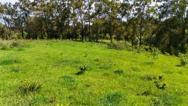 Residential Block For Sale - QLD - Childers - 4660 - 27 ACRE BLOCK OF RURAL RESIDENTIAL OPPORTUNITY  (Image 2)