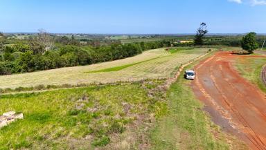 Residential Block For Sale - QLD - Childers - 4660 - 6.82 ACRE RURAL BLOCK - LAND BANK OR BUILD  (Image 2)