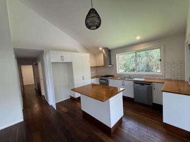 House For Lease - NSW - Evans Head - 2473 - Quiet Street Walking Distance To The Beach  (Image 2)