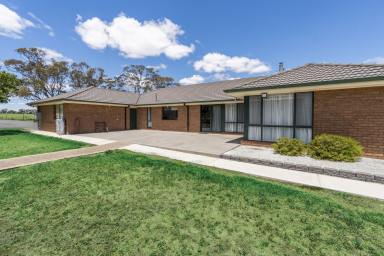 Lifestyle For Sale - NSW - Temora - 2666 - Luxury Rural Living on 30 Acres  (Image 2)