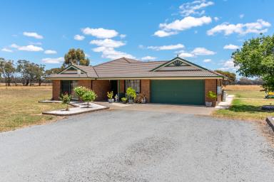 Lifestyle For Sale - NSW - Temora - 2666 - Luxury Rural Living on 30 Acres (Image 2)