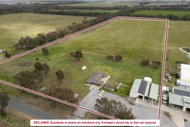 Lifestyle For Sale - NSW - Temora - 2666 - Luxury Rural Living on 30 Acres  (Image 2)
