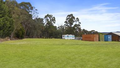Residential Block For Sale - NSW - Cullen Bullen - 2790 - Your Affordable Country Escape  (Image 2)