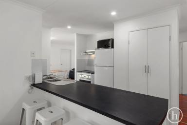 House For Lease - QLD - Black Mountain - 4563 - Spacious Family Living on 1.6 Acres in Black Mountain  (Image 2)