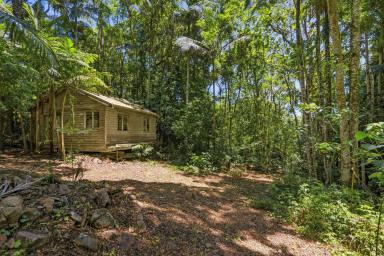 Residential Block For Sale - QLD - Mount Glorious - 4520 - Prime Rainforest Acreage - Lifestyle, Privacy & Location  (Image 2)