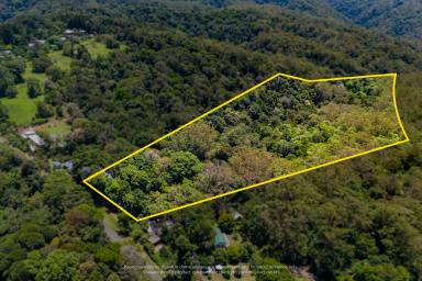 Residential Block For Sale - QLD - Mount Glorious - 4520 - Prime Rainforest Acreage - Lifestyle, Privacy & Location (Image 2)