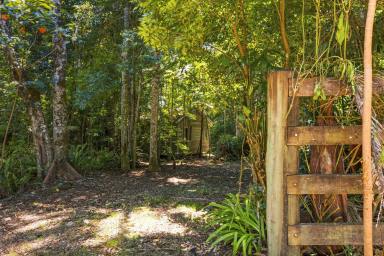 Residential Block For Sale - QLD - Mount Glorious - 4520 - Prime Rainforest Acreage - Lifestyle, Privacy & Location  (Image 2)