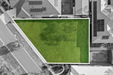 Residential Block For Sale - VIC - Strathfieldsaye - 3551 - Exceptional Allotment in Popular Imagine Estate  (Image 2)