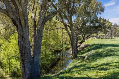Acreage/Semi-rural For Sale - NSW - Yass - 2582 - "Wattlegrove" 1649 Coolalie Rd Jerrawa  (Image 2)