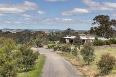 Acreage/Semi-rural For Sale - NSW - Yass - 2582 - "Wattlegrove" 1649 Coolalie Rd Jerrawa (Image 2)