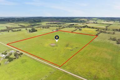 Lifestyle For Sale - VIC - Elliminyt - 3250 - ATTRACTIVE COLAC – ELLIMINYT CITY FRINGE COUNTRY  (Image 2)