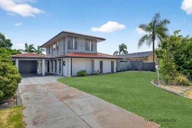 House For Sale - WA - Woodvale - 6026 - Spacious Two-Storey Family Entertainer in a Highly Sought-After Woodvale Pocket  (Image 2)