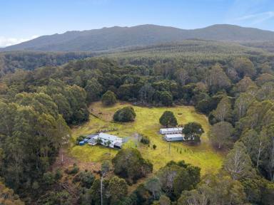 Lifestyle For Sale - TAS - Loongana - 7315 - Private North-Facing Haven  (Image 2)