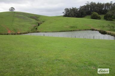Livestock For Sale - TAS - Melrose - 7310 - CROPPING & GRAZING - 50.07 HECTARES (125 ACRES)  (Image 2)