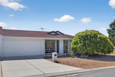 House For Sale - WA - Alexander Heights - 6064 - Modern Parkside Living on a Corner Block – Affordable & Renovated!  (Image 2)