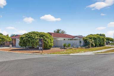 House For Sale - WA - Alexander Heights - 6064 - Modern Parkside Living on a Corner Block – Affordable & Renovated!  (Image 2)