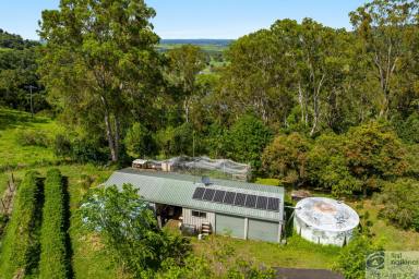 House For Sale - NSW - Caniaba - 2480 - RURAL LIFESTYLE WITH TOWN CONVENIENCE (Image 2)