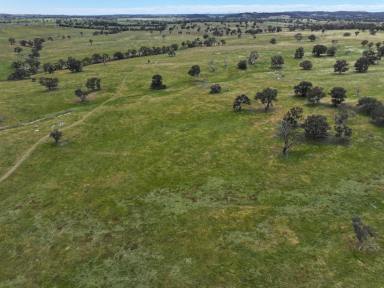 Mixed Farming For Sale - NSW - Gunning - 2581 - ENVIABLE PRODUCTION WITH DEVELOPMENT UPSIDE  (Image 2)
