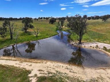 Mixed Farming For Sale - NSW - Gunning - 2581 - ENVIABLE PRODUCTION WITH DEVELOPMENT UPSIDE  (Image 2)