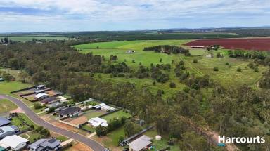 Residential Block For Sale - QLD - Cordalba - 4660 - OVER 1/4  ACRE BLOCK IN CORDALBA!!  (Image 2)