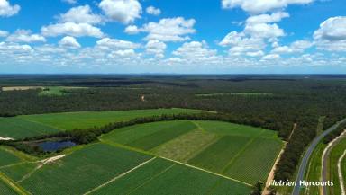 Horticulture For Sale - QLD - Gregory River - 4660 - 231 ACRES OF CULTIVATION WITH 3 WATER SOURCES  (Image 2)