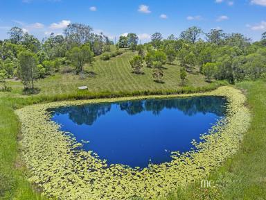 Residential Block For Sale - QLD - Kobble Creek - 4520 - 40 Acres on Kobble Creek (Image 2)