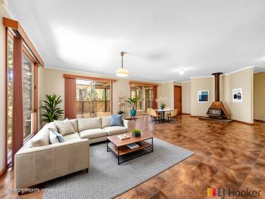 House For Sale - NSW - Long Beach - 2536 - Your Own Private 10,000m² Rural Retreat - 3 minutes drive to the Beach !  (Image 2)