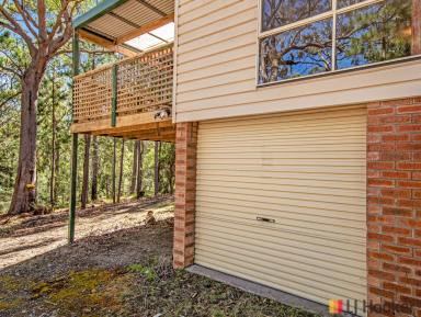 House For Sale - NSW - Long Beach - 2536 - Your Own Private 10,000m² Rural Retreat - 3 minutes drive to the Beach !  (Image 2)