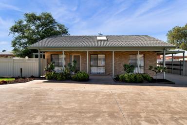 Unit For Sale - VIC - Mildura - 3500 - Perfect Downsizer or Professional's Retreat in Great Pocket  (Image 2)
