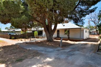 House For Sale - VIC - Red Cliffs - 3496 - Ideal first home or investment!  (Image 2)