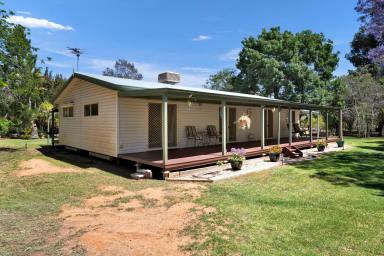 House For Sale - NSW - Wentworth - 2648 - Modern Living Meets Outdoor Appeal  (Image 2)